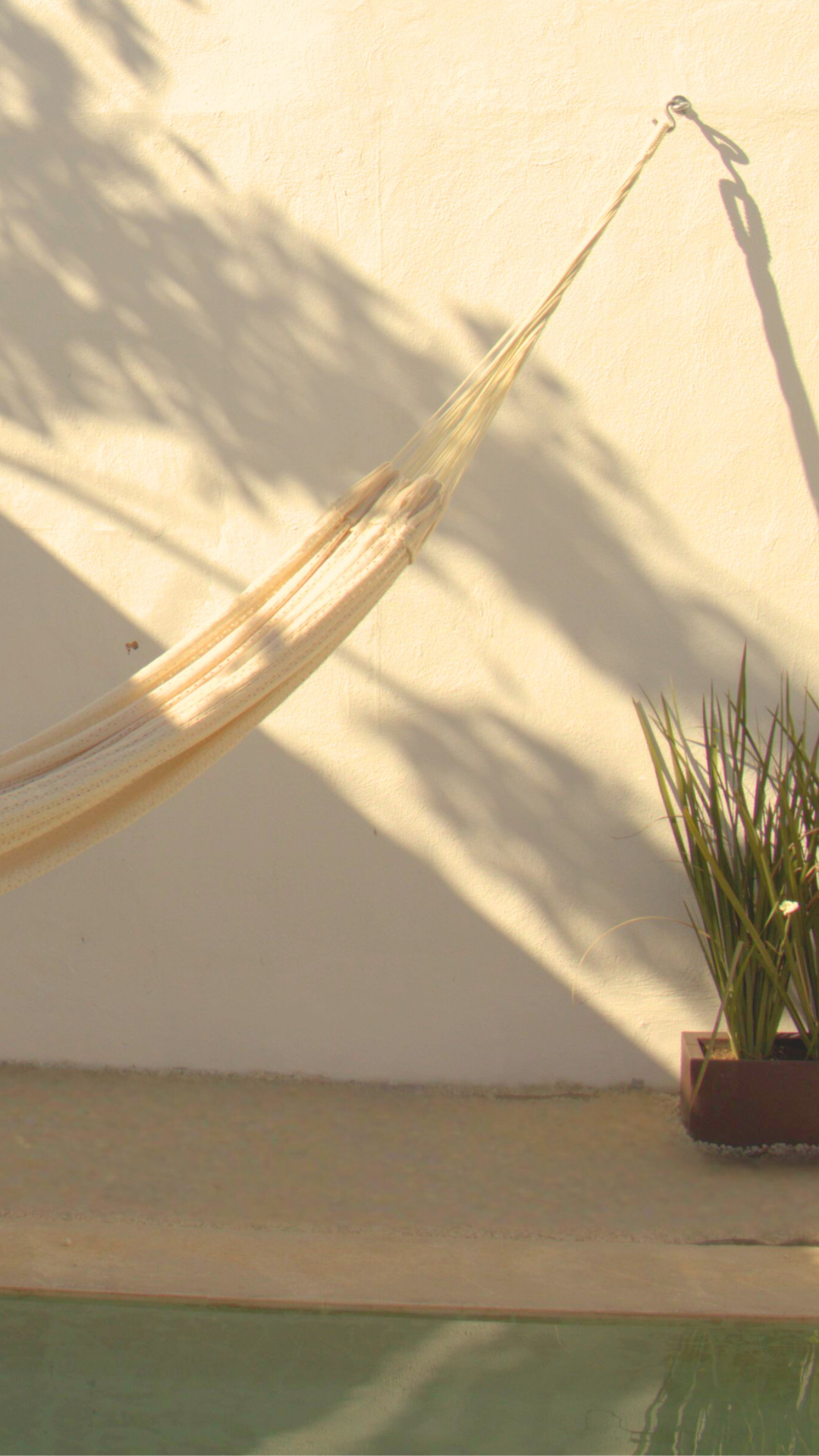 Mayoreo y Distribución mobile