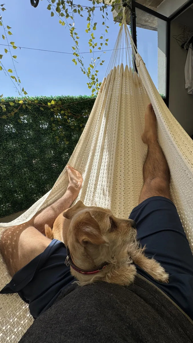 Elemento de testimonio